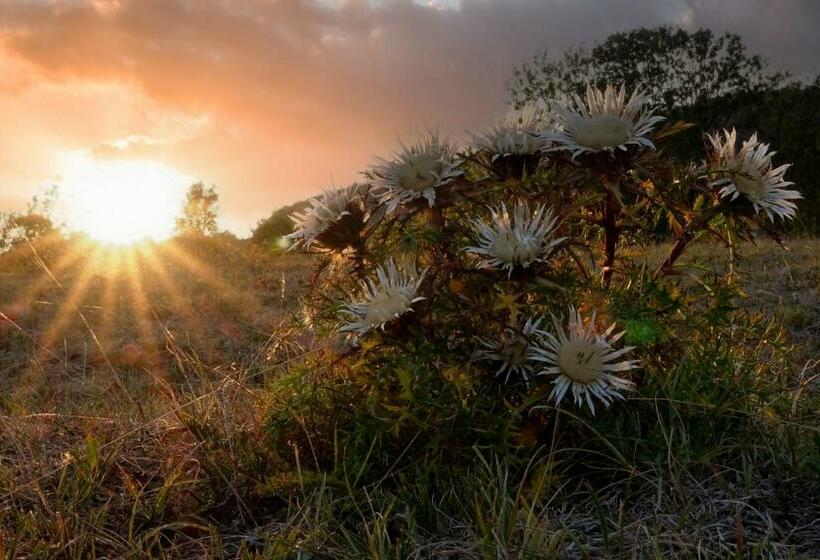 Landhotel Der Distelhof Mit Scheunencafé