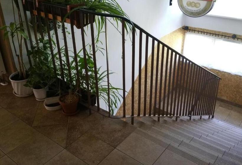 ホテル Dom Sportowca Roko