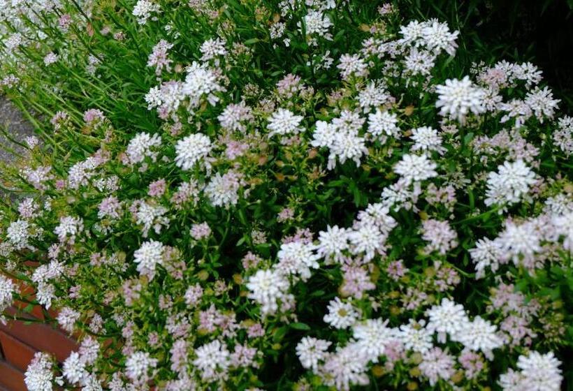 هتل Plaza Inn Kawaguchiko