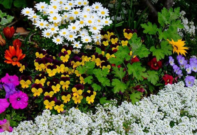 هتل Plaza Inn Kawaguchiko