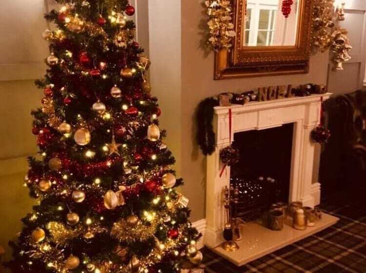 בית מלון כפרי The New Inn