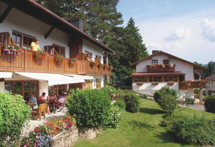 Отель Waldpension