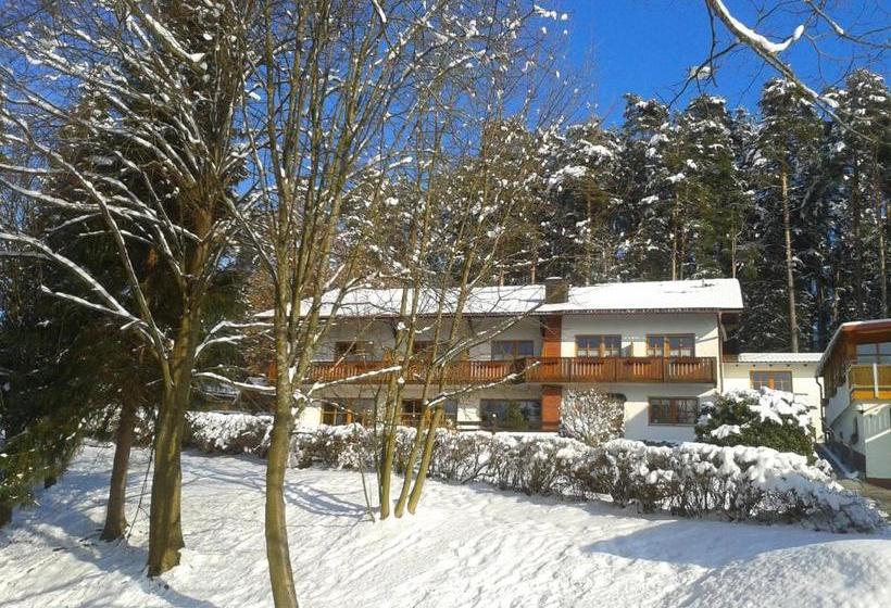 Отель Waldpension