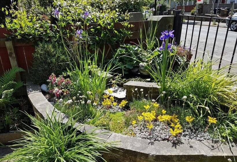 בית מלון כפרי Wynnstay House