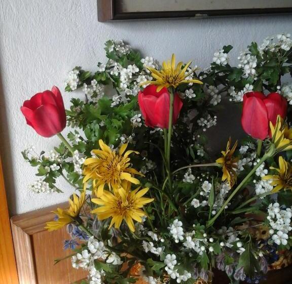 민박 Bio&b Cascina Montebello