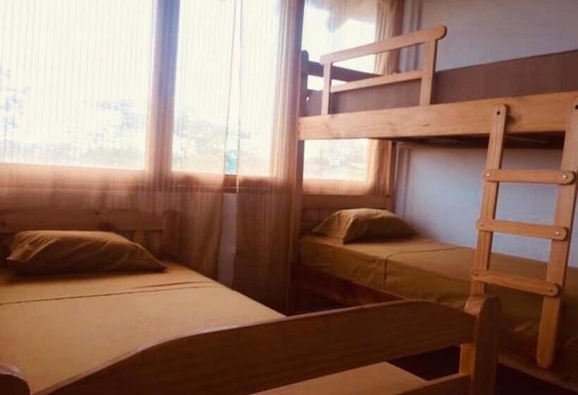 住宿加早餐 Elysium