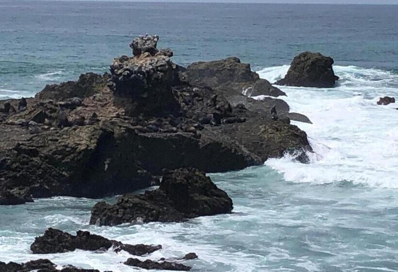 住宿加早餐 Elysium