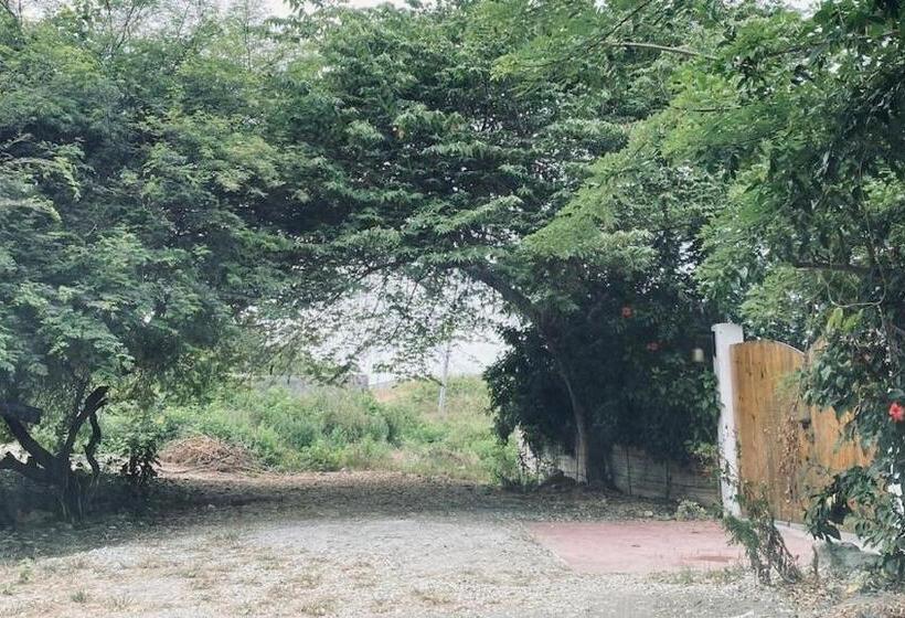 住宿加早餐 Elysium