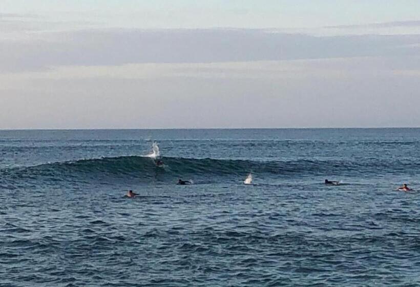 住宿加早餐 Elysium