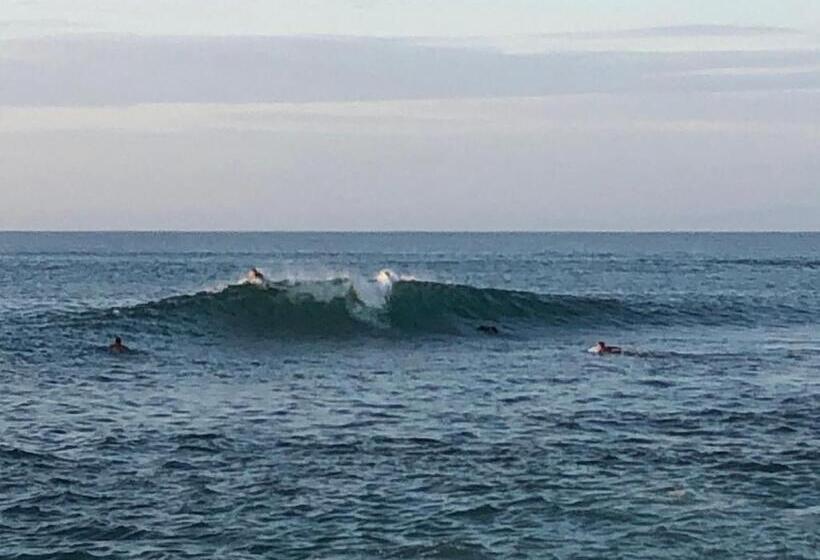 住宿加早餐 Elysium