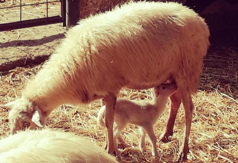 فندق Agriturismo Torrevecchia