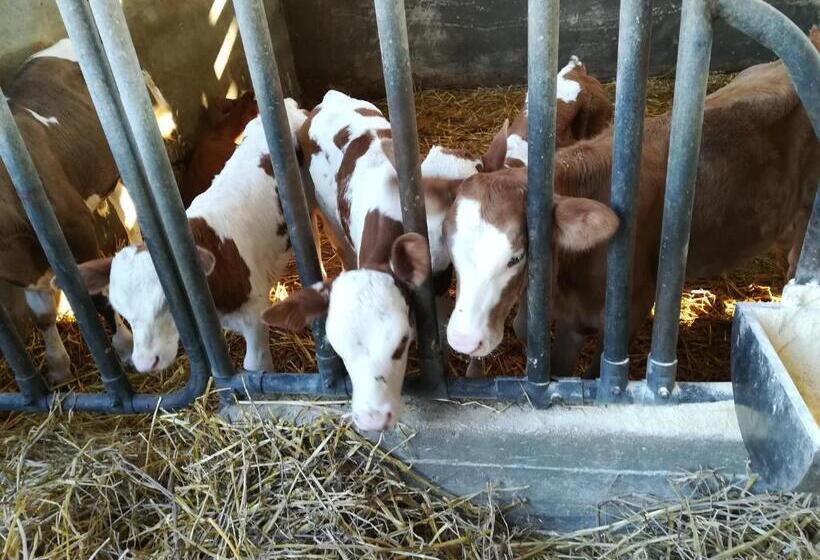 فندق Agriturismo Torrevecchia