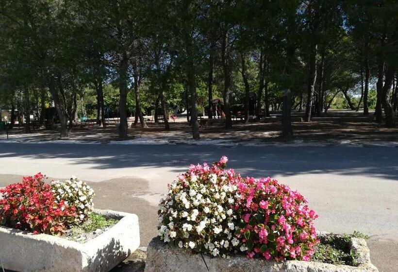 فندق Agriturismo Torrevecchia