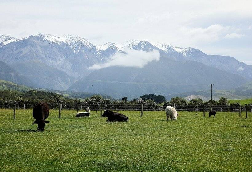 هتل Awatea Country Bed & Breakfast