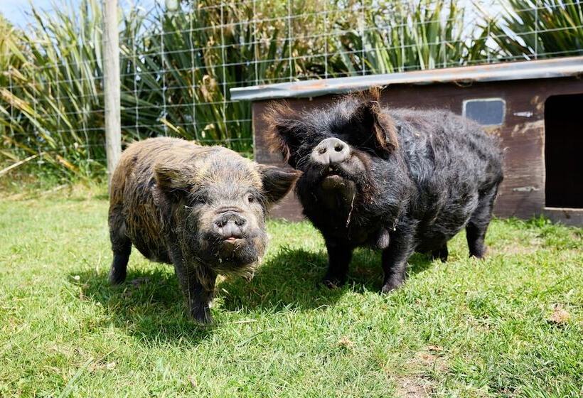 هتل Awatea Country Bed & Breakfast