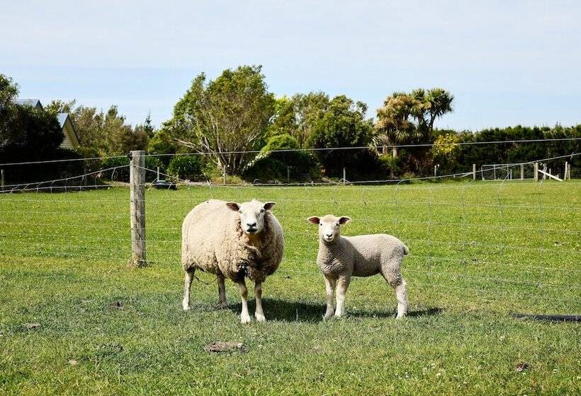 فندق Awatea Country Bed & Breakfast