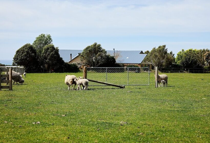 هتل Awatea Country Bed & Breakfast