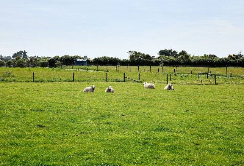 فندق Awatea Country Bed & Breakfast