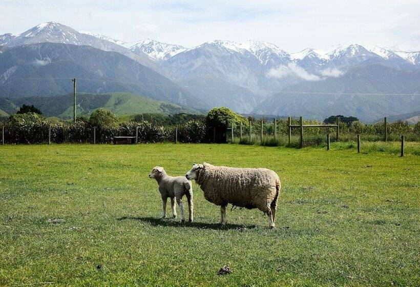 هتل Awatea Country Bed & Breakfast