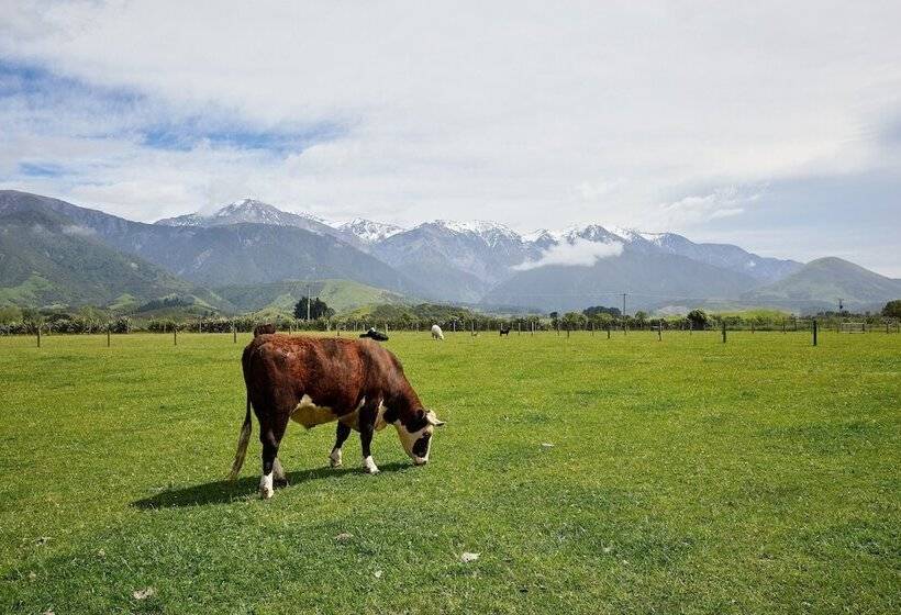 فندق Awatea Country Bed & Breakfast