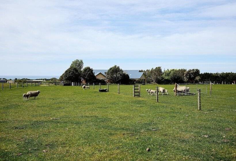 فندق Awatea Country Bed & Breakfast