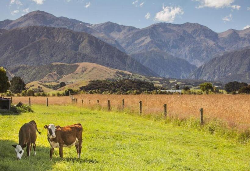 فندق Awatea Country Bed & Breakfast