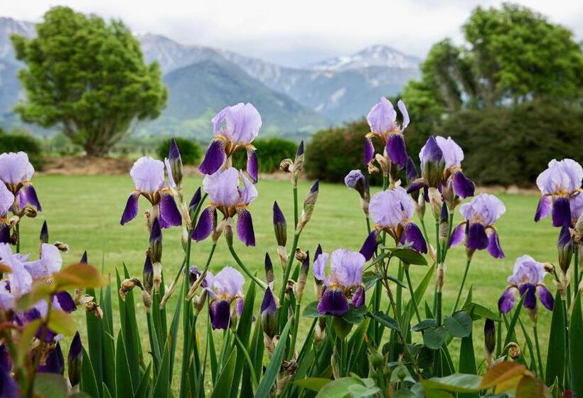 فندق Awatea Country Bed & Breakfast