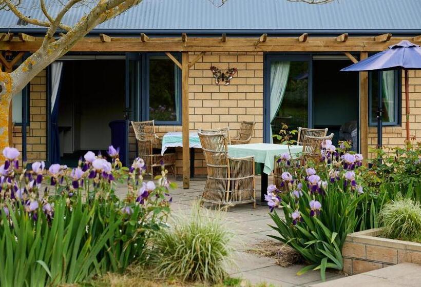 هتل Awatea Country Bed & Breakfast