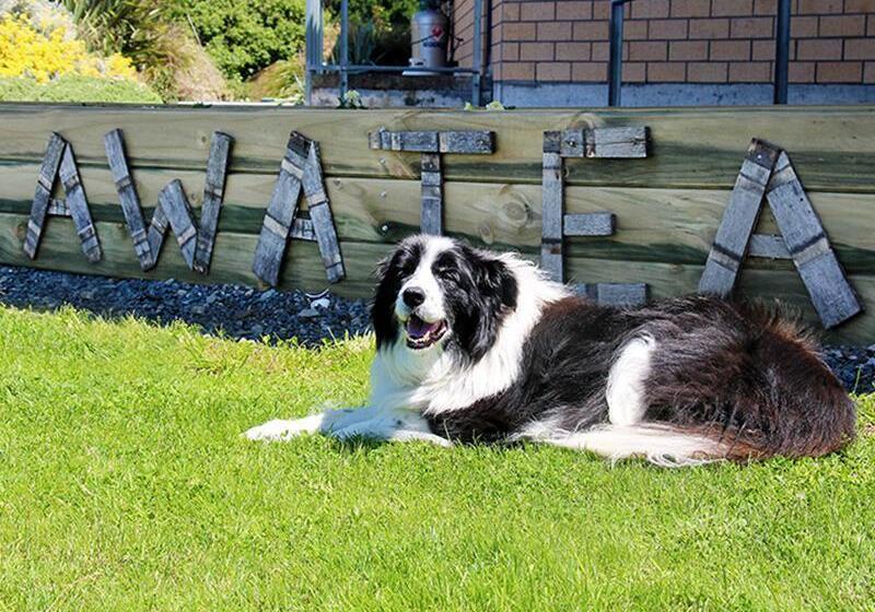 فندق Awatea Country Bed & Breakfast