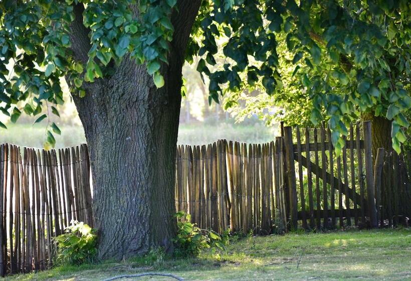 فندق Bed & Breakfast Spoor 62