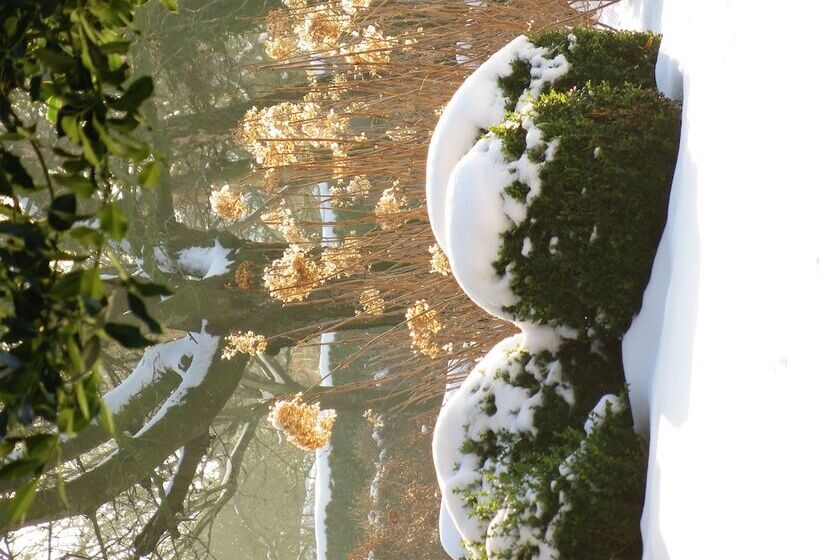 فندق Bed & Breakfast Spoor 62