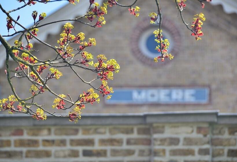 فندق Bed & Breakfast Spoor 62