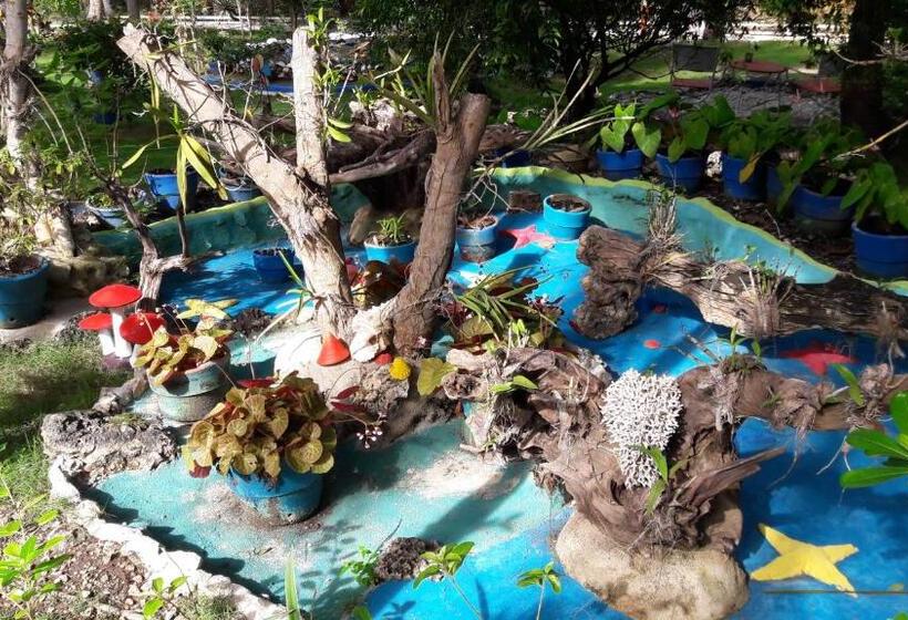 هتل Casa De La Playa Beach Resort