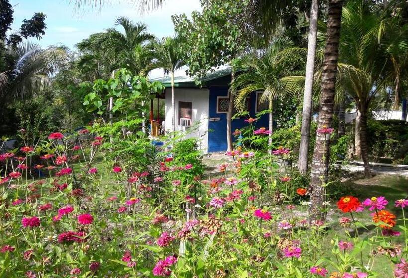 هتل Casa De La Playa Beach Resort