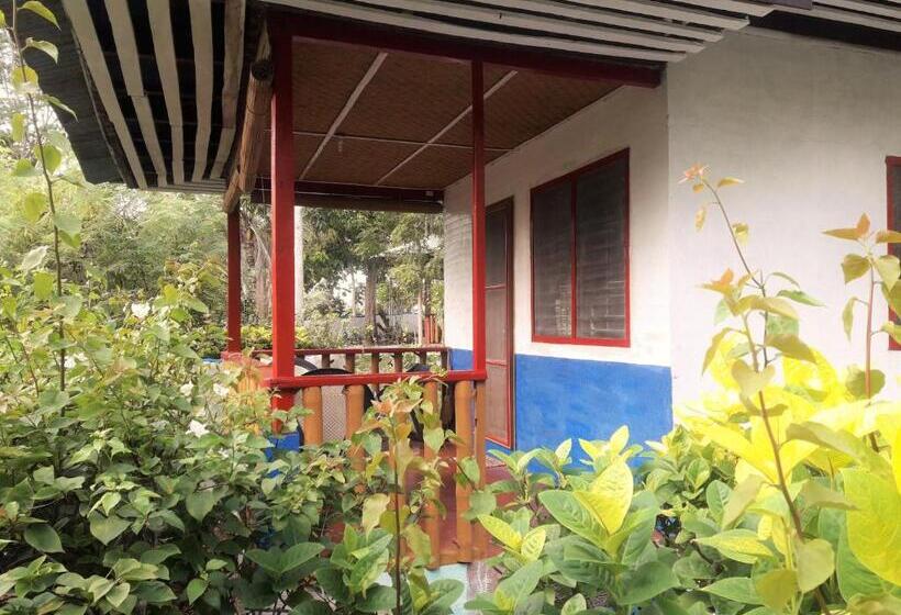 هتل Casa De La Playa Beach Resort