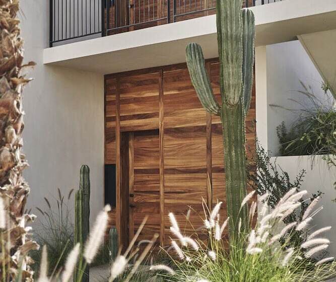 酒店 Four Seasons Resort Los Cabos