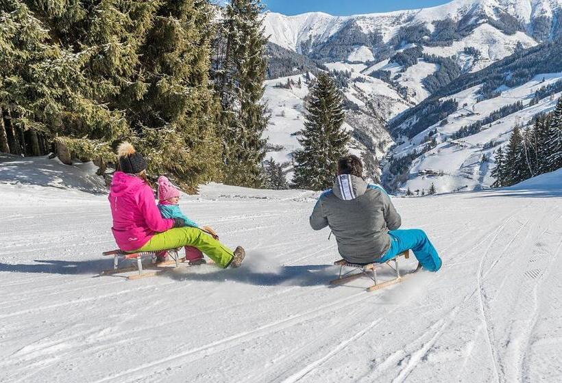 فندق Pension Kaiserer