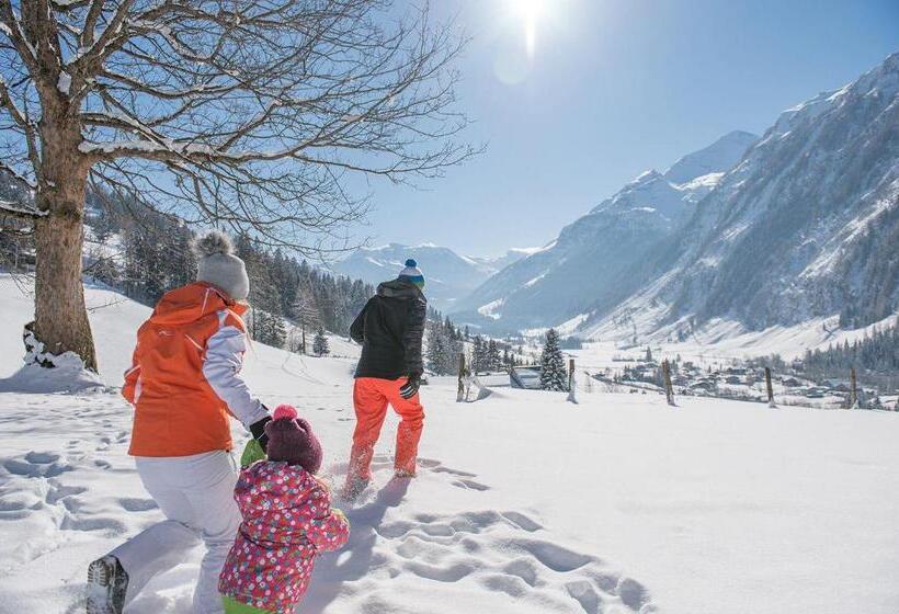 فندق Pension Kaiserer