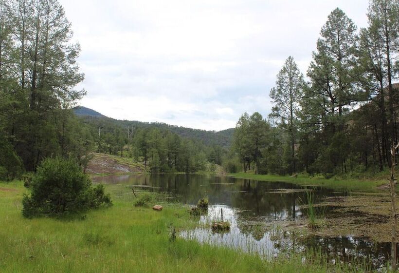 فندق Paraiso Del Oso