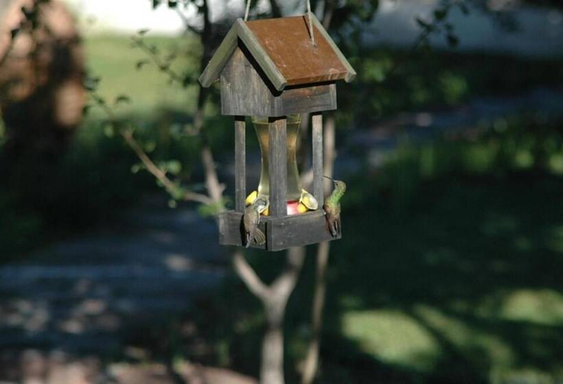 فندق Paraiso Del Oso