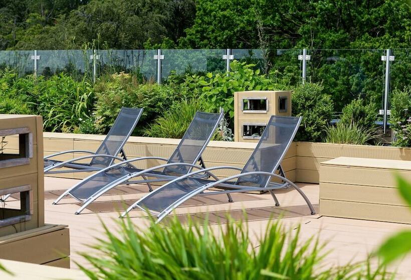 Отель Spa Bagiński & Chabinka