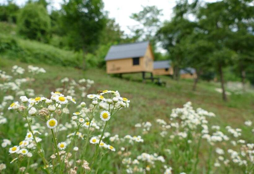 ペンション Casa Baladin Camere Di Charme E Agronidi Dell'open Garden