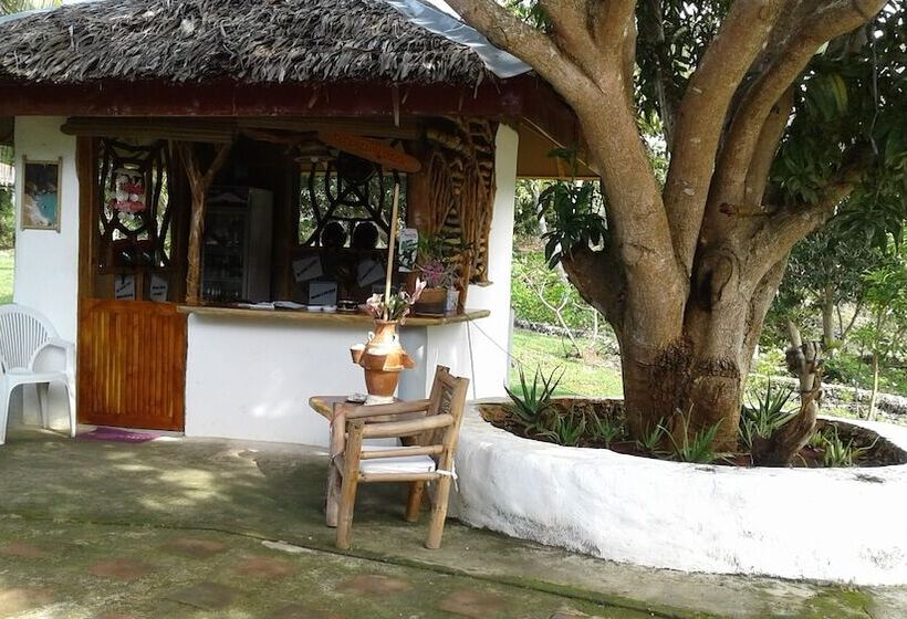 پانسیون Chelle S Guesthouse And Backpackers