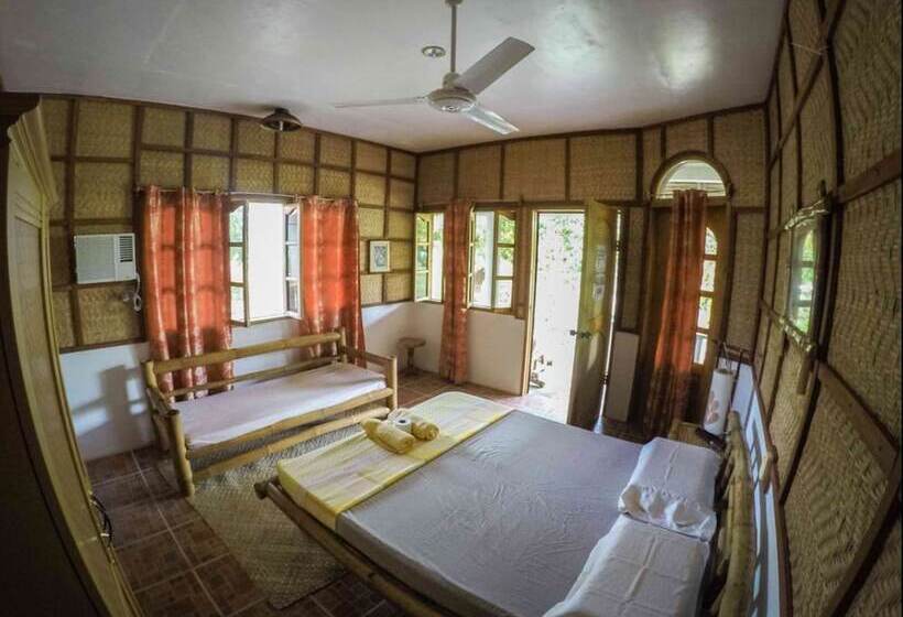 پانسیون Chelle S Guesthouse And Backpackers