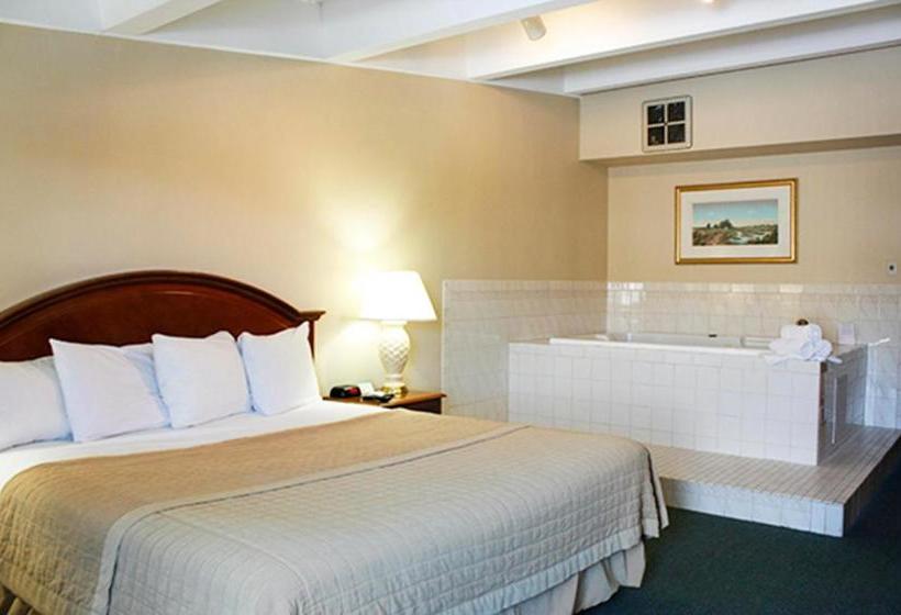 فندق Americas Best Value Inn  Campus View