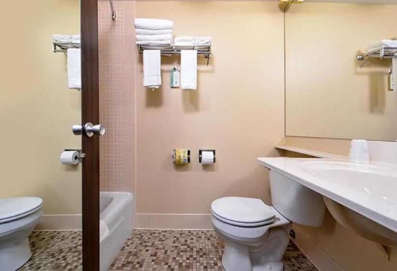 فندق Americas Best Value Inn  Campus View