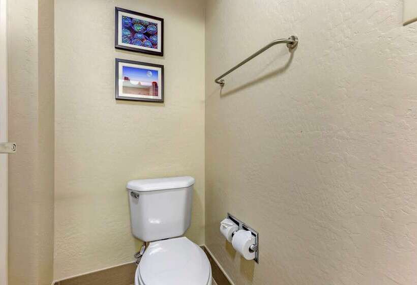 Отель Comfort Inn & Suites Surprise Near Sun City West