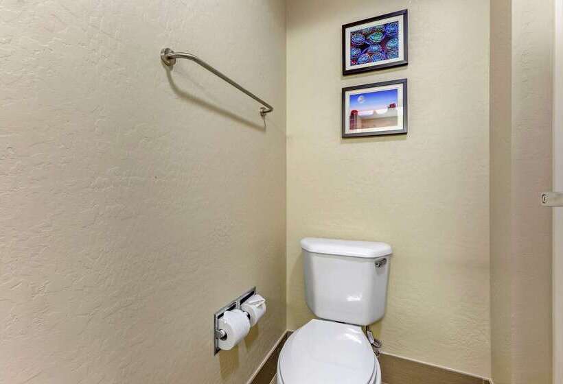 Отель Comfort Inn & Suites Surprise Near Sun City West