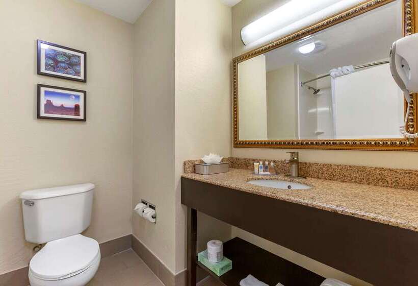 Отель Comfort Inn & Suites Surprise Near Sun City West