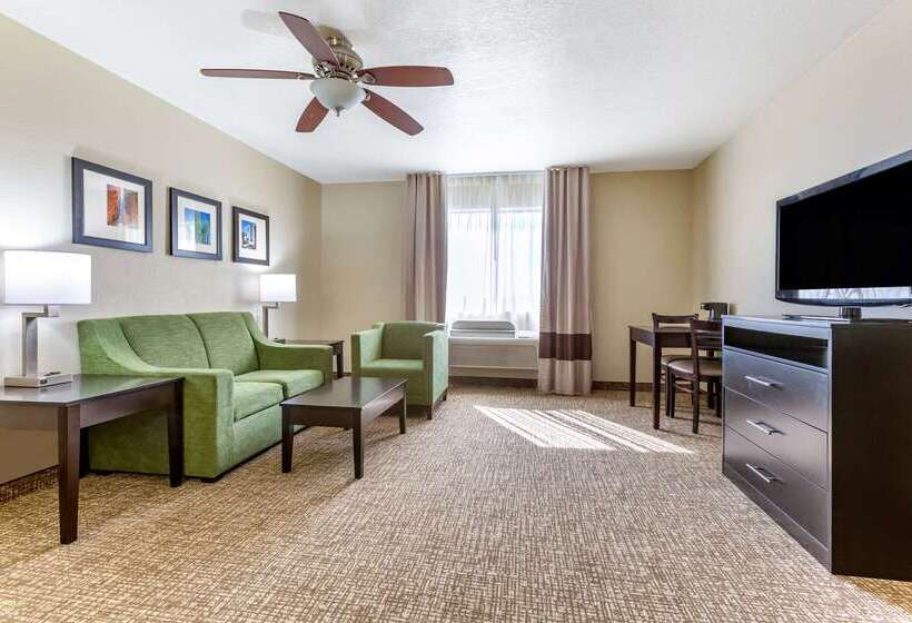 Отель Comfort Inn & Suites Surprise Near Sun City West